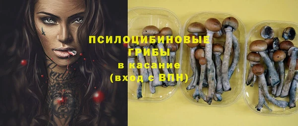 меф Козельск