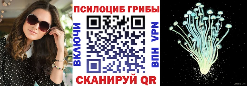 Галлюциногенные грибы Psilocybine cubensis  Купить закладки  Звенигово 