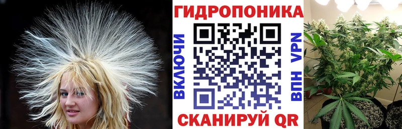 Купить  Звенигово  Бошки марихуана планчик 